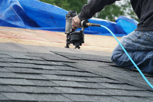 Best Roof Gutter Cleaning  in Crescent City, CA